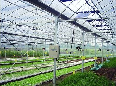 大棚蔬菜施用二氧化碳技術